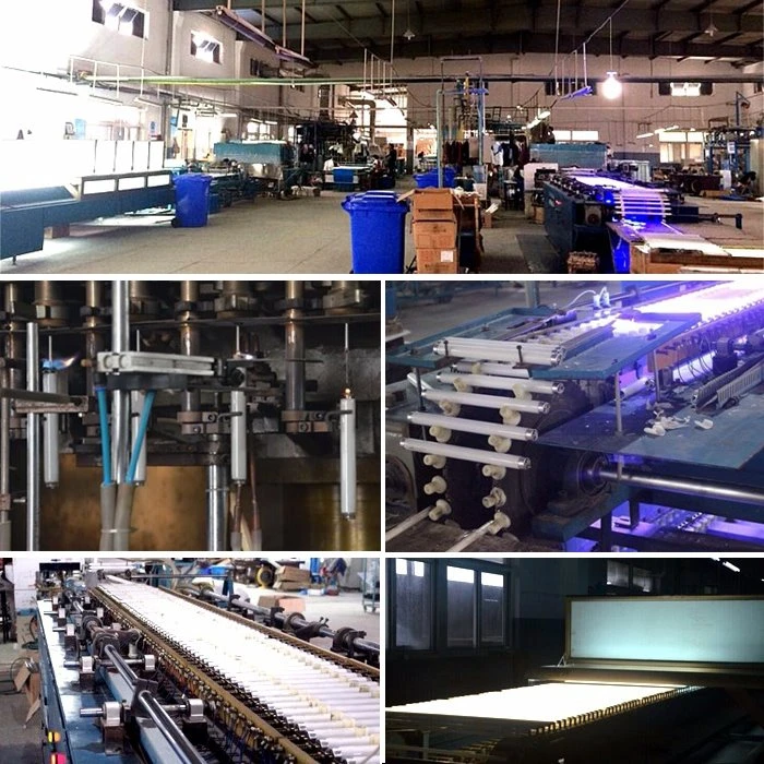 product line of T5 6W BL UVA 365nm product line of T5 6W BL UVA 365nm